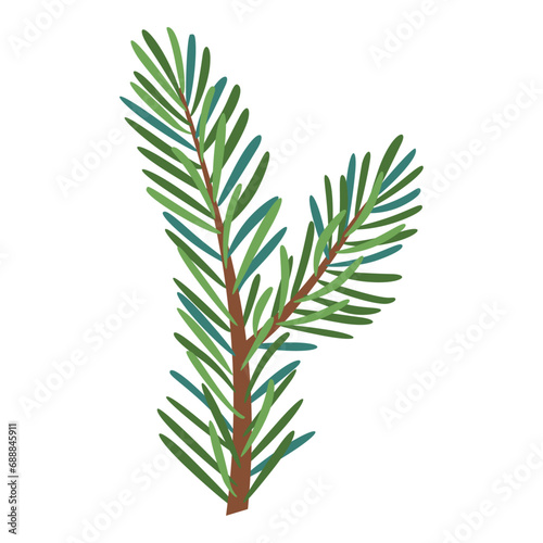 Christmas spruce branch, evergreen tree, fir, vector icon, winter plants, New Year wood, holiday decoration. Hand drawn illustration. © Aikaterini