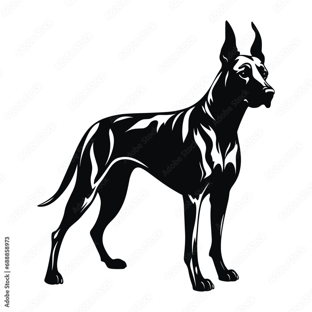 Great Dane Dog standing still, black vector design against white background. 