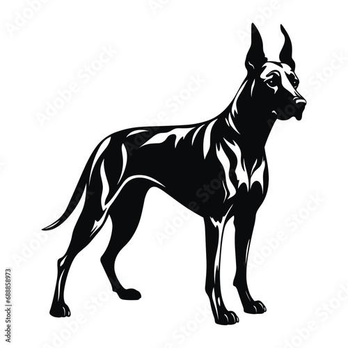 Great Dane Dog standing still  black vector design against white background. 