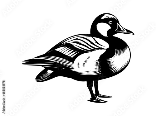 Duck bird standing an resting, black vector design against white background photo