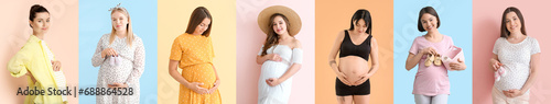 Set of many young pregnant women on colorful background