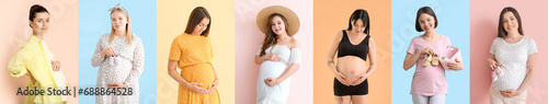 Set of many young pregnant ...