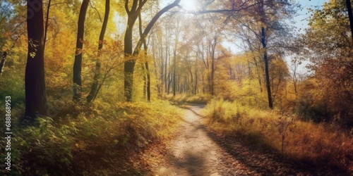 Yellow autumn mood in the forest , Nature change Yellow leaves in october season Sun © YuDwi Studio
