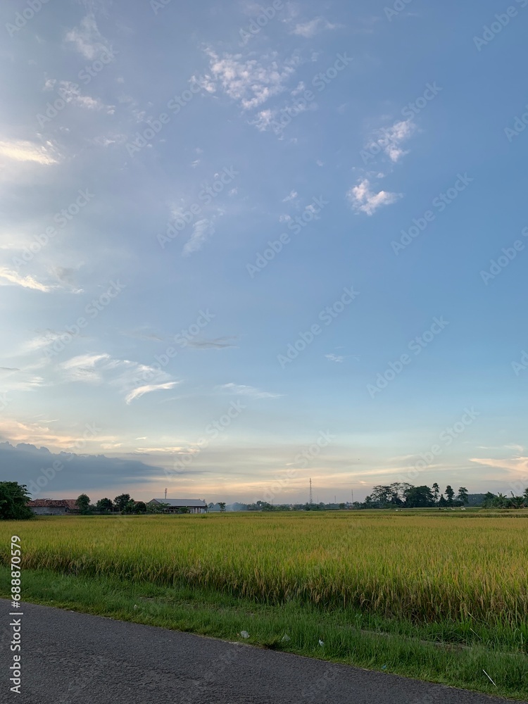 Obraz premium road in the countryside