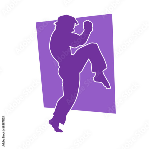 Silhouette of a male model doing martial art kick pose. Silhouette of a martial art kicking pose.