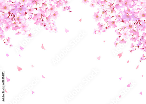 桜と舞い散る花びらのフレーム 桜吹雪 飾り枠 素材 お花見 入学 卒業 入園 卒園 ひな祭り ひなまつり 白背景 白バック 