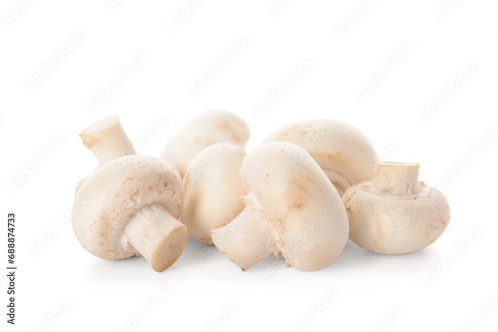 Fresh mushrooms isolated on white background Fresh mushrooms isolated on white background