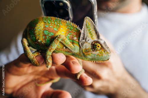Chameleon close up. Multicolor Beautiful Chameleon closeup reptile with colorful bright skin on the hand photo