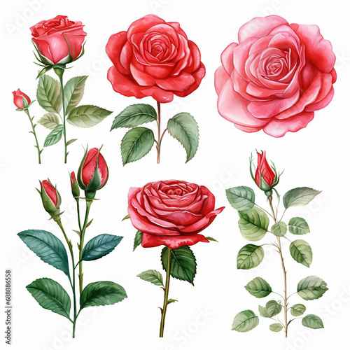 save invitation postcard petal rose watercolor wedding romantic birthday border greeting elegance © shabanashoukat49