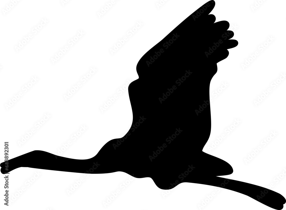 Bird graphic shape element design vector Bird graphic shape element design vector