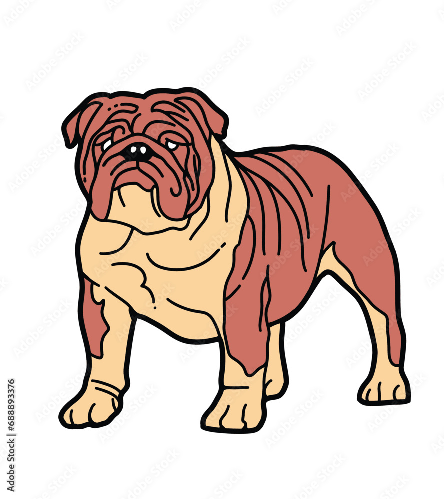 illustration of an bulldog illustration of an bulldog