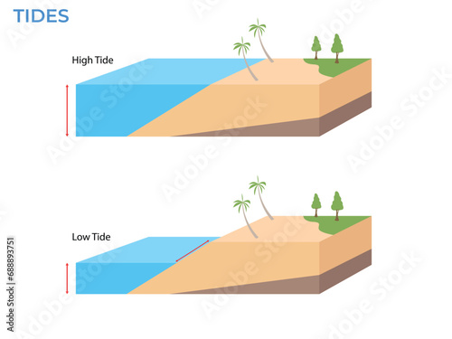 High and low tides. Landscape sea with palm trees. water ​​level