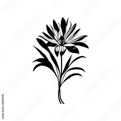 Fototapeta Naklejka Na Ścianę i Meble -  African lily Icon hand draw black plant logo symbol perfect.