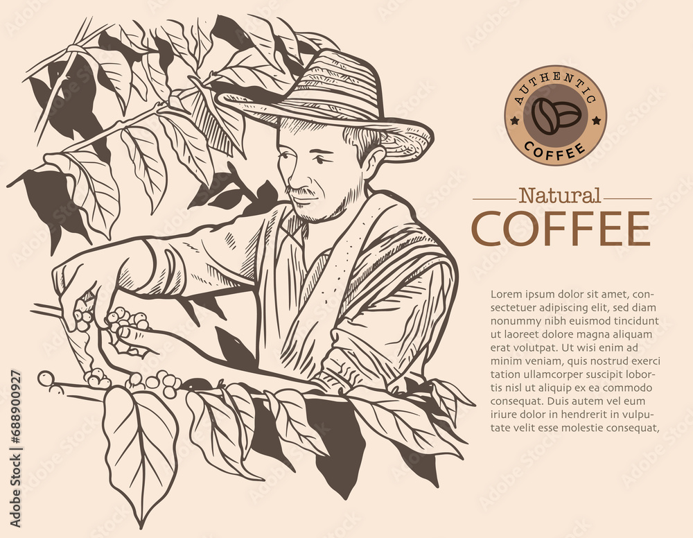 Banner and brochure template of coffee tree and farmer on sketch ink drawing for label packaging, sticker, poster, promotion, banner, t-shirt, tote bag, stamp.