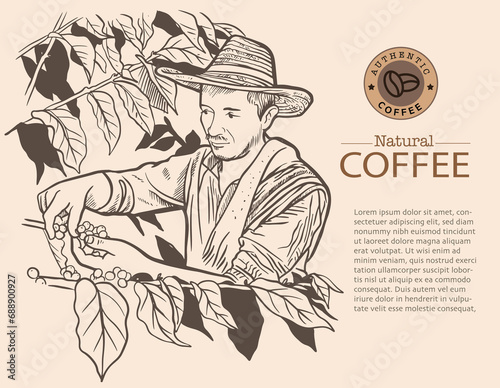 Banner and brochure template of coffee tree and farmer on sketch ink drawing for label packaging, sticker, poster, promotion, banner, t-shirt, tote bag, stamp.