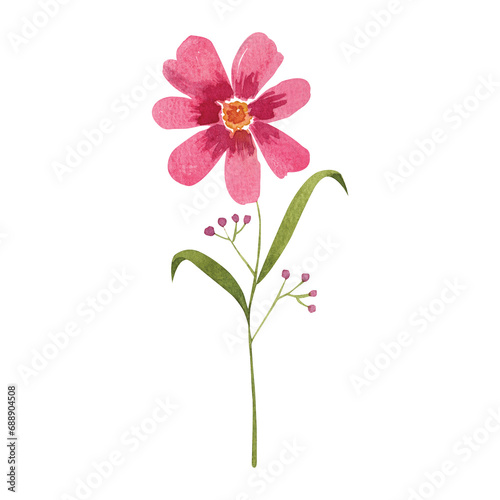 Watercolor Pink Flower Graphic ELement