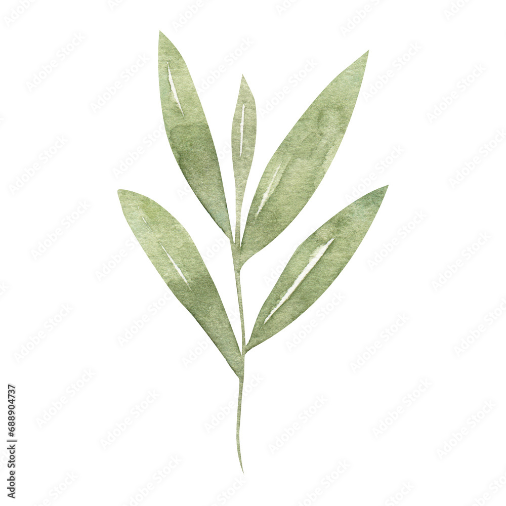 Aesthetic Green Leaf Textured Graphic Element