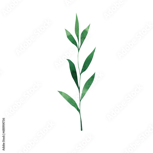 Aesthetic Green Leaves Graphic Element