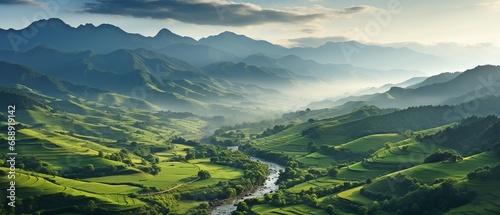 An elongated and verdant rice field from above..