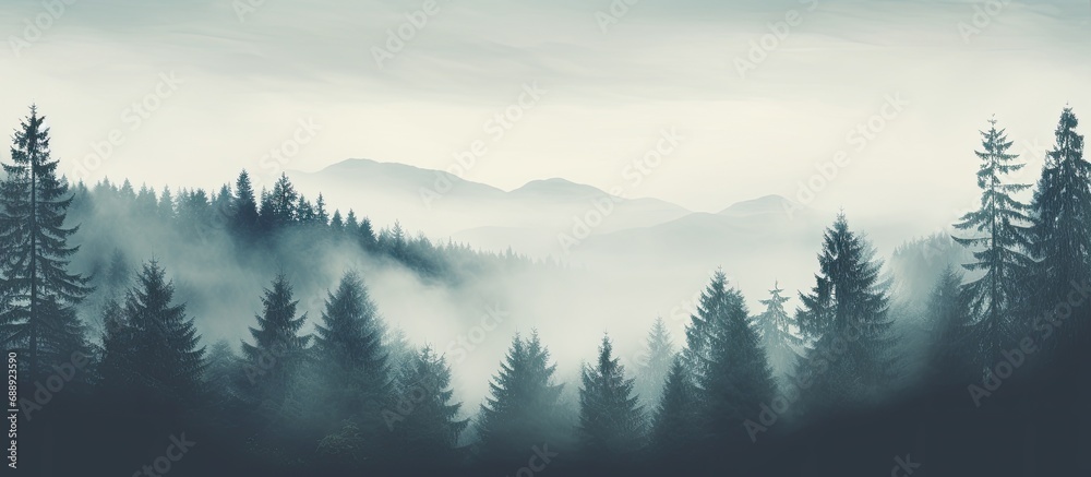 Vintage retro hipster style fir forest landscape with mist and fog, featuring copyspace.