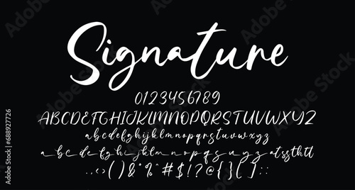 Signature Beauty Script Handwritten font Best Alphabet Alphabet Brush Script Logotype Font lettering handwritten