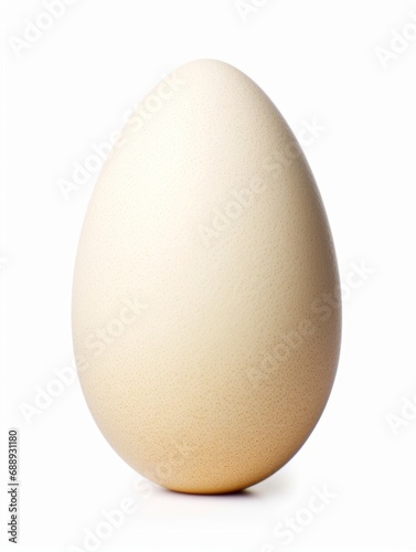 One chicken egg isolated on white background, Generative AI