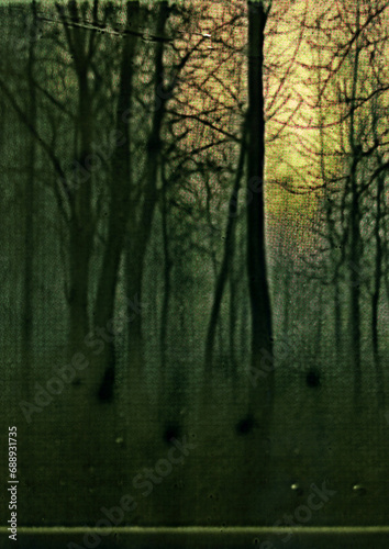 Spirit Forest Version 02