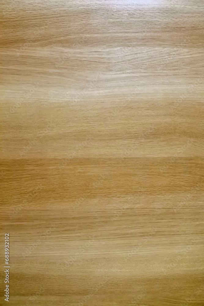 Fototapeta premium ナチュラル色の扉