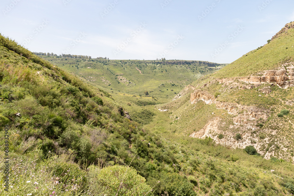 The slope of the gorge overgrown with greenery in the El Al National Nature Reserve located in the northern Galilee in the North of Israel The slope of the gorge overgrown with greenery in the El Al National Nature Reserve located in the northern Galilee in the North of Israel