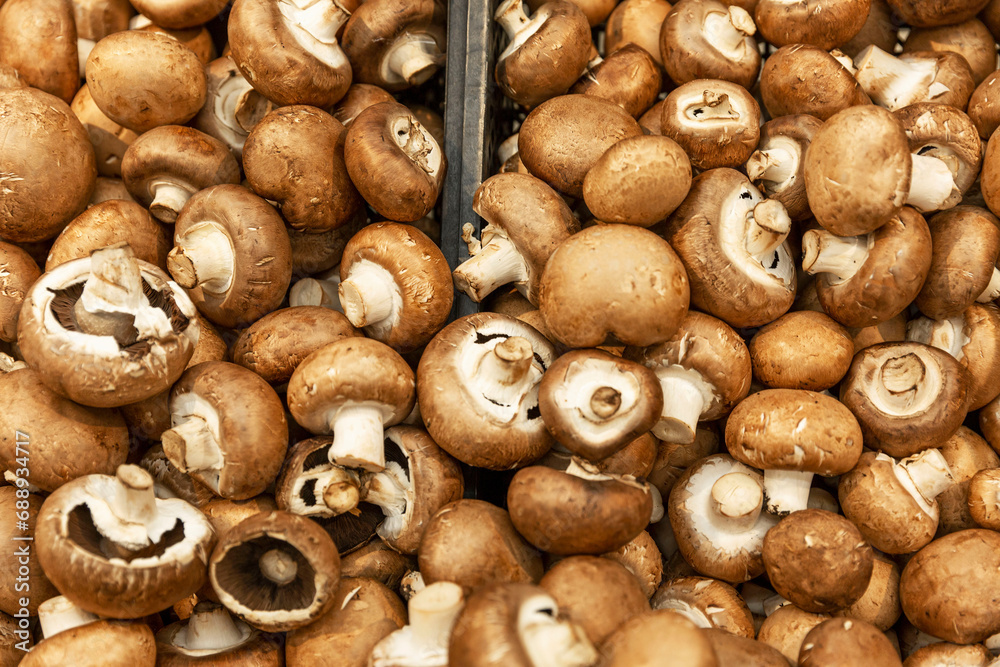 Royal champignons on the counter in a store. Vegetarianism and healthy foods. Close-up. Royal champignons on the counter in a store. Vegetarianism and healthy foods. Close-up.