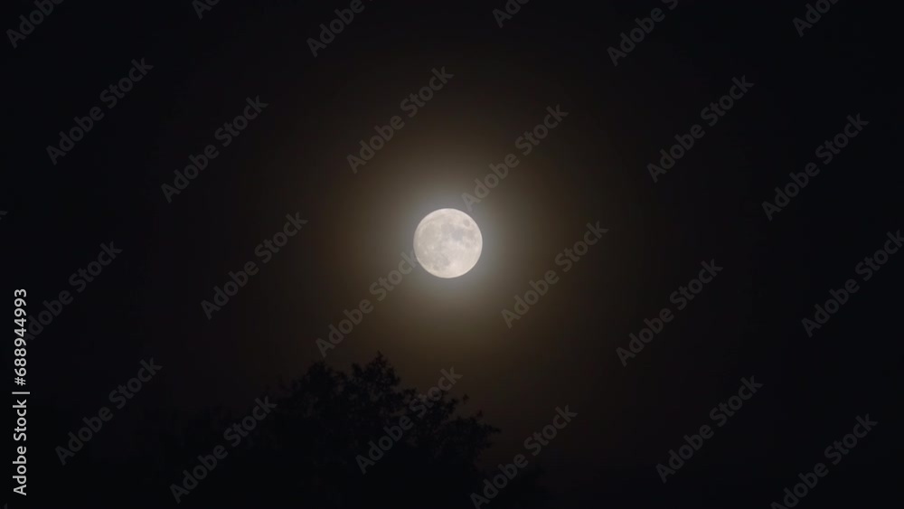 Full Moon Rising Over Tree Silhouettes. Timelapse Full Moon Rising Over Tree Silhouettes. Timelapse