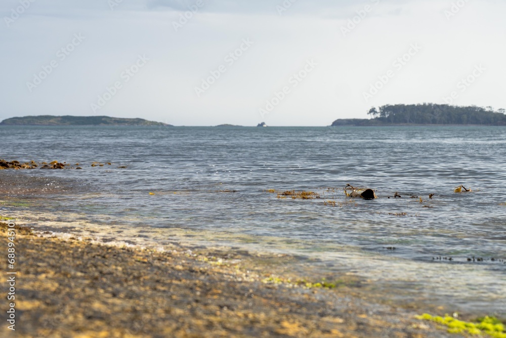 flat rocky coastline by the ocean in tasmania australia
