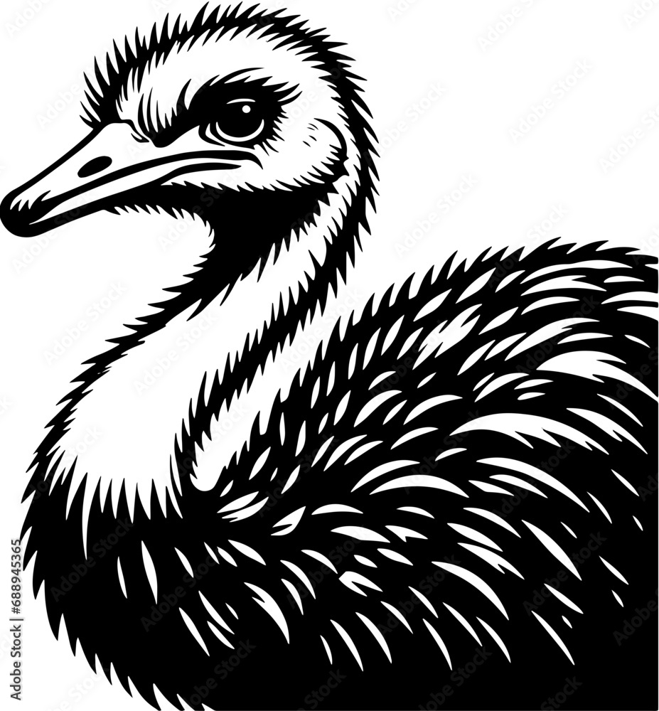 Fototapeta premium Ostrich icon 12