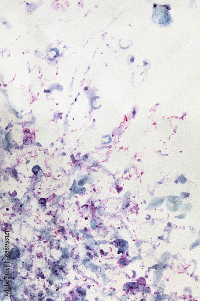 Bilberry stains on white paper. Abstract background Bilberry stains on white paper. Abstract background
