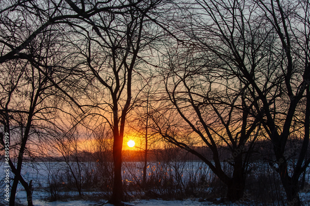 Bare tree branches at sunset in winter Bare tree branches at sunset in winter