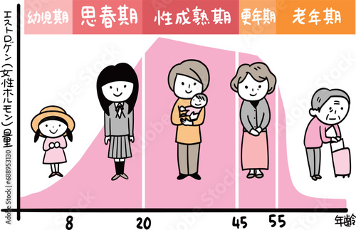 エストロゲンのグラフと女性の関係