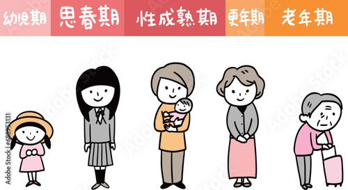 エストロゲンのグラフと女性の関係