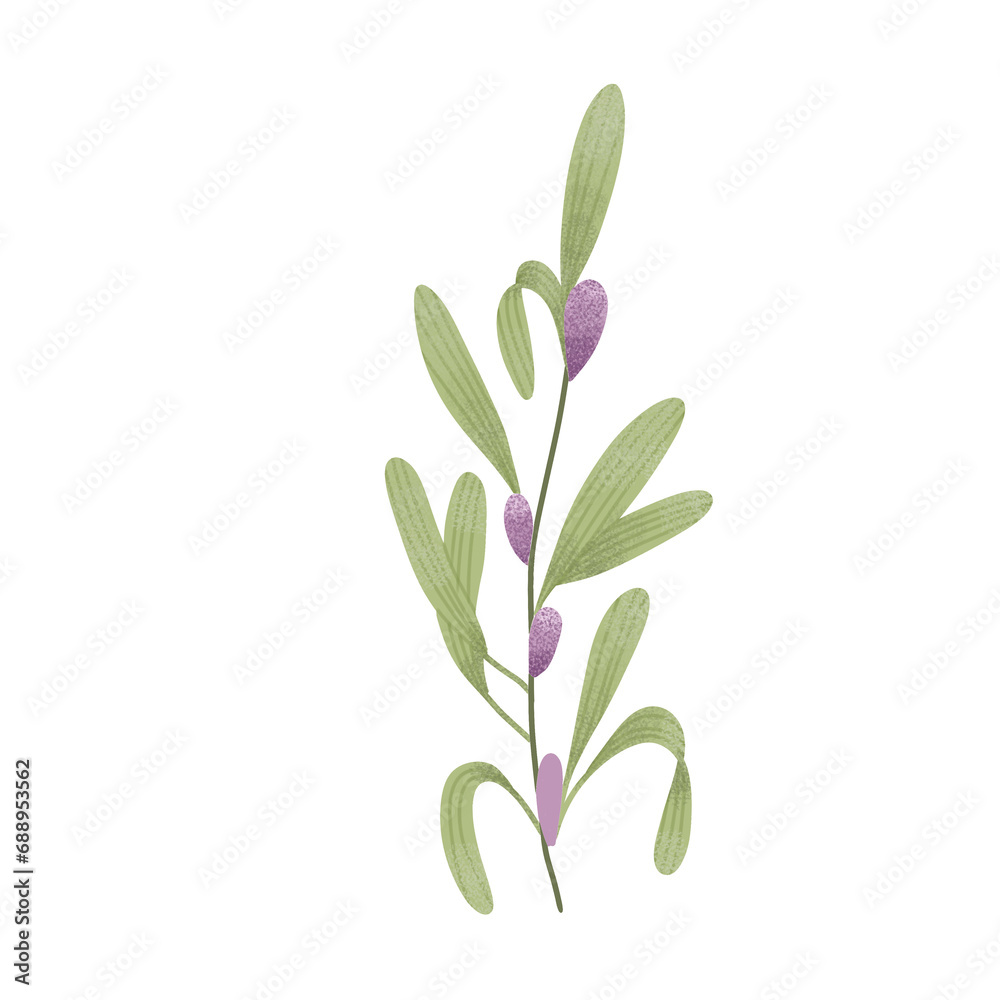 aesthetic flower on png transparant backgroumd