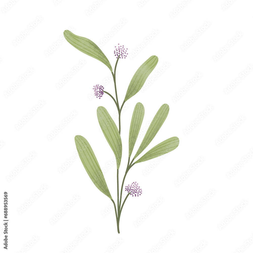 aesthetic flower on png transparant backgroumd