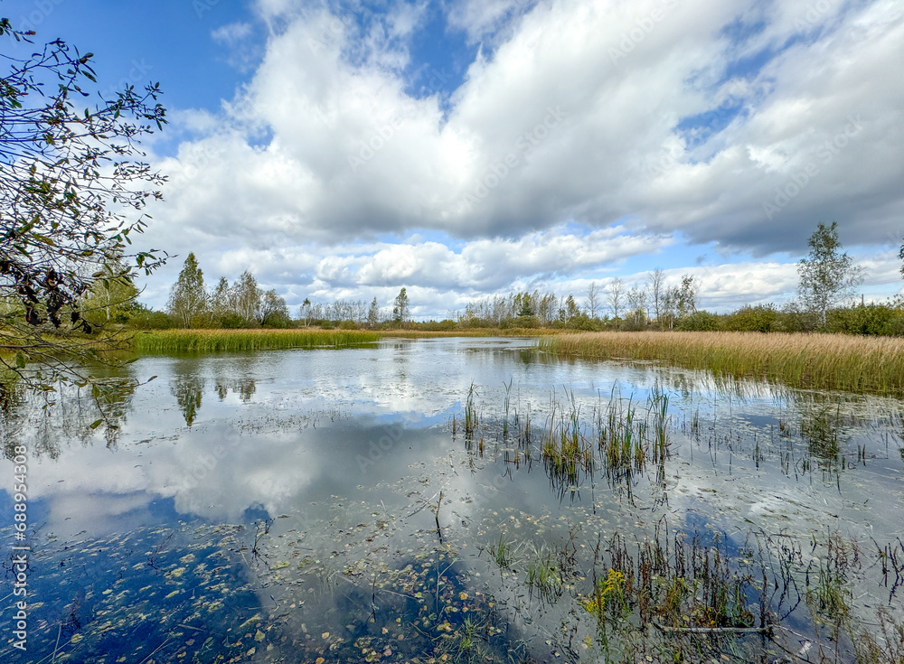 Lake in nature in summer Lake in nature in summer