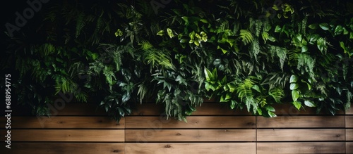 Leafy green wall with wooden slats photo