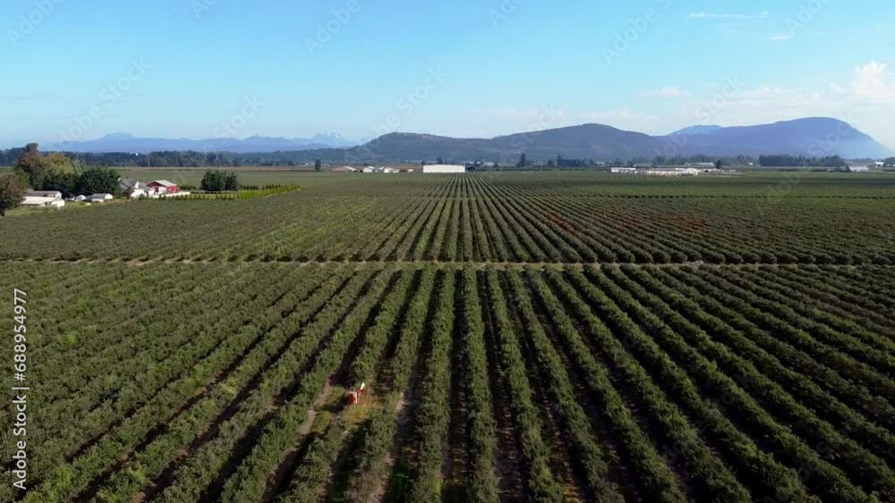 Drone Flying Over Fields in Sumas, Washington in the North Cascades Drone Flying Over Fields in Sumas, Washington in the North Cascades