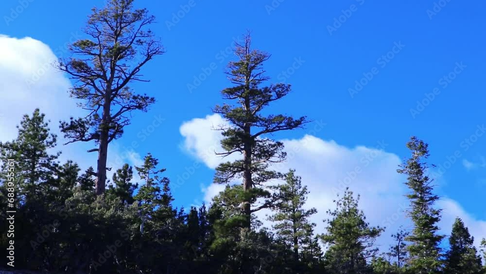 Mountain forest and sky timelapse in winter sky Mountain forest and sky timelapse in winter sky