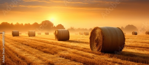 Misty morning sunrise with hay bails in a field. photo