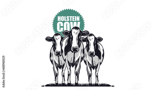 YOUNG HOLSTEIN COW STANDING IN FARM LOGO, silhouette of great cattle standing vector illustrations