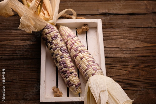 gem corn rainbow. rainbow corn with striking seed colors. Corn is one of the most important carbohydrate-producing food crops in the world, besides wheat and rice. Zea mays photo