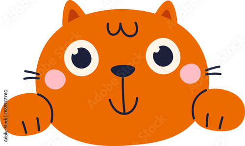 Cat Face Animal