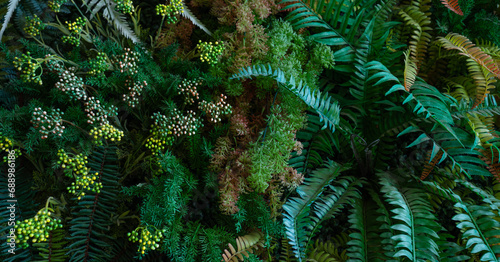 Wallpaper Mural Group of dark green tropical leaves background, Nature Lush Foliage Leaf Texture, tropical leaf. Torontodigital.ca