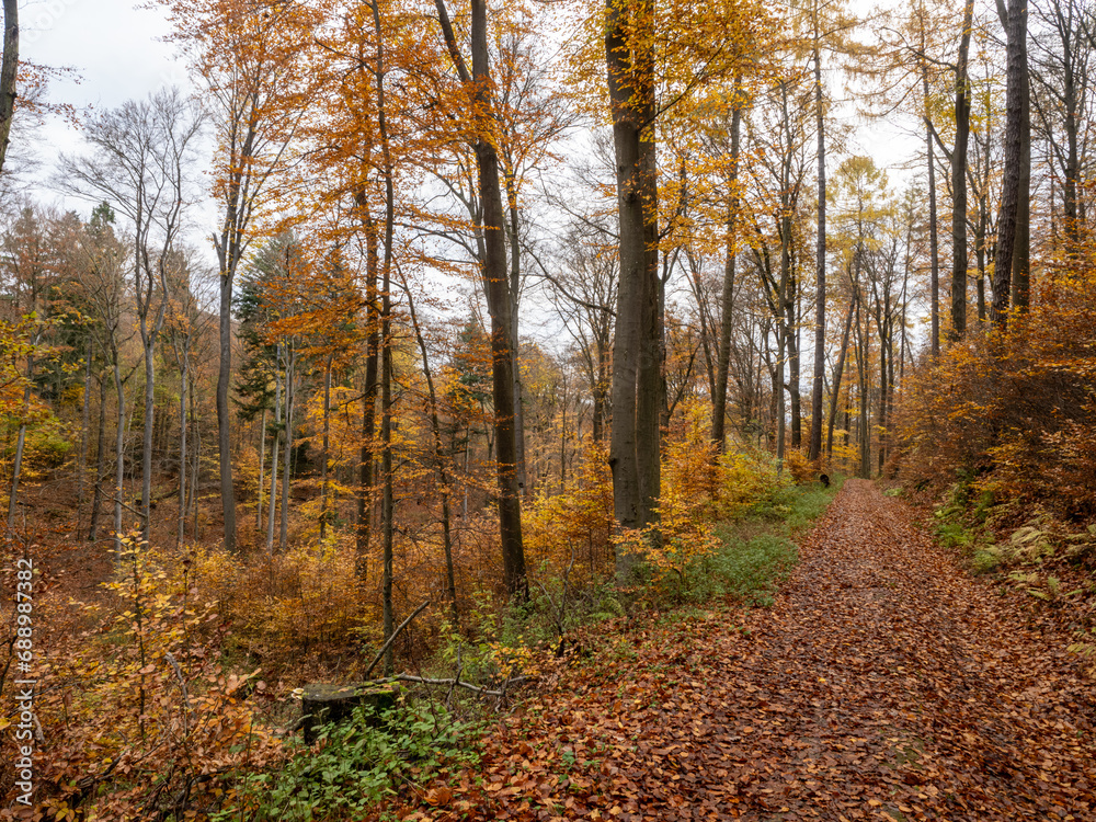 Herbst