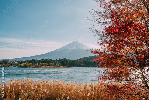 Colorful Autumn Season and Mountain Fuji with morning fog and red leaves at lake Kawaguchiko is one of the best places in awaguchiko Lake  Japan.